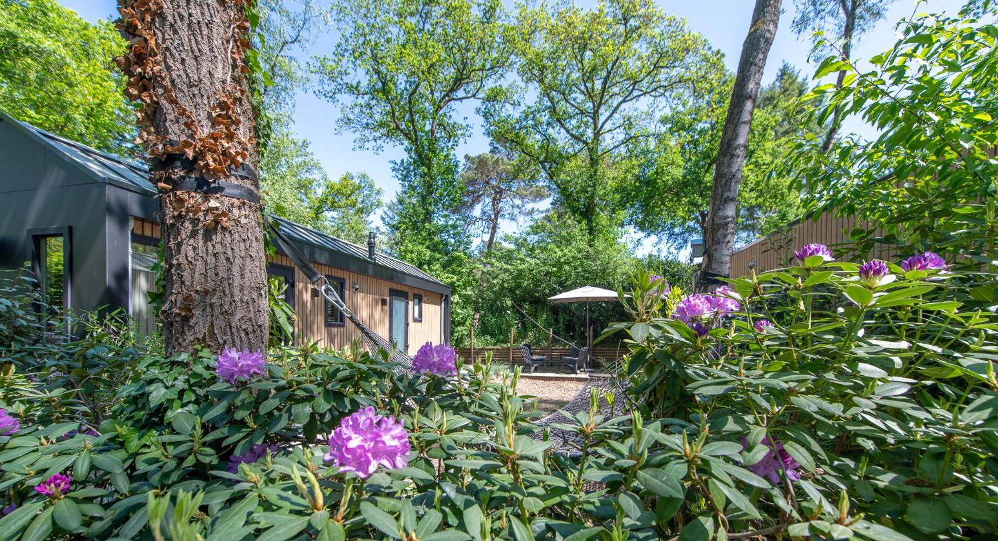 Tinyhouse Grasmus Villa Nunspeet Eksteriør billede